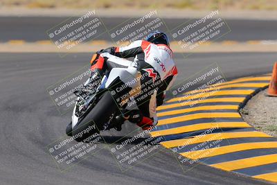 media/Oct-08-2022-SoCal Trackdays (Sat) [[1fc3beec89]]/Turn 11 Backside (1145am)/